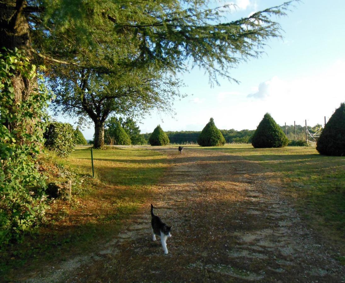Hauts De Sentelines Sejour Authentique En Pleine Nature Gavaudun ภายนอก รูปภาพ