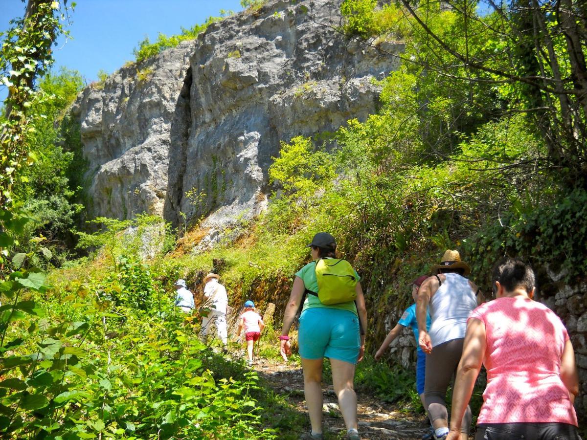 Hauts De Sentelines Sejour Authentique En Pleine Nature Gavaudun ภายนอก รูปภาพ