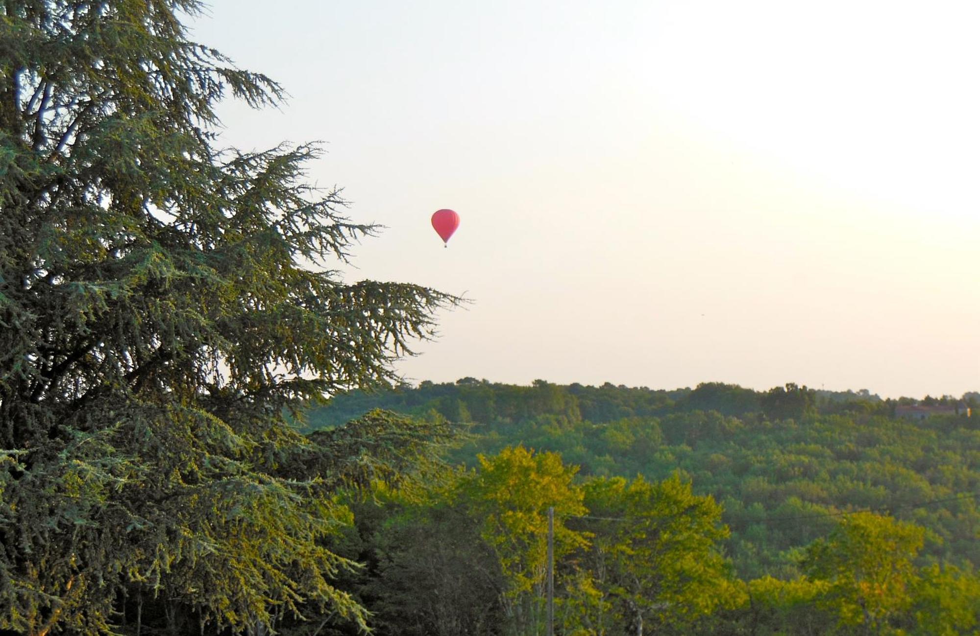 Hauts De Sentelines Sejour Authentique En Pleine Nature Gavaudun ภายนอก รูปภาพ